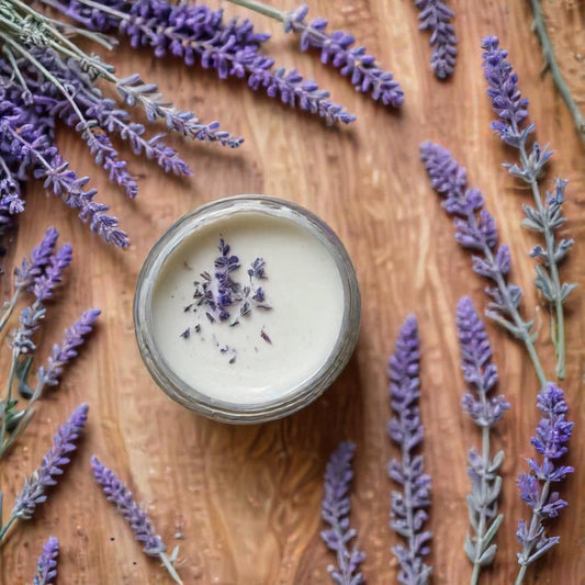 A jar of lavender calming salve, surrounded by fresh and dried lavender flowers, set on a wooden surface